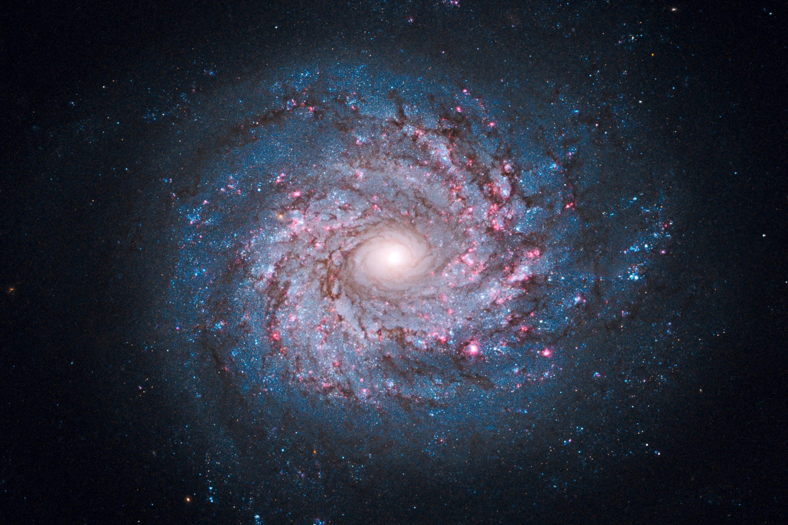 All things astronomy image 2